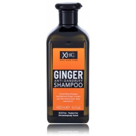 Xpel Ginger питательный шампунь против перхоти