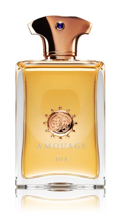 Amouage Dia pour Homme EDP smar as v rie iem