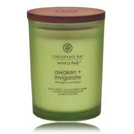 Chesapeake Bay Mind & Body Awaken + Invigorate Lemongrass Eucalyptus ароматическая свеча