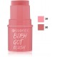 Essence Baby Got Blush zīmuļu sārtums