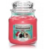 Yankee Candle Home Inspiration Pugs & Kisses aromātiska svece