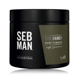 Sebastian Professional SEB MAN The Dandy Shiny Sebastian Professional SEB MAN The помада для волос для мужчин  75 ml.